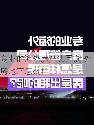 专业的海外房产集团,海外房地产怎么样