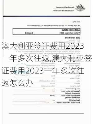 澳大利亚签证费用2023一年多次往返,澳大利亚签证费用2023一年多次往返怎么办