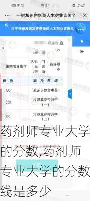 药剂师专业大学的分数,药剂师专业大学的分数线是多少