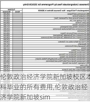 伦敦政治经济学院新加坡校区本科毕业的所有费用,伦敦政治经济学院新加坡sim