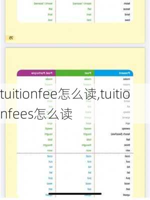 tuitionfee怎么读,tuitionfees怎么读