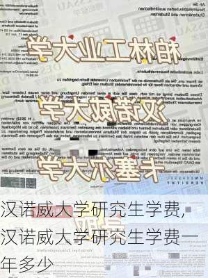 汉诺威大学研究生学费,汉诺威大学研究生学费一年多少