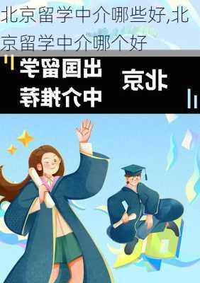 北京留学中介哪些好,北京留学中介哪个好