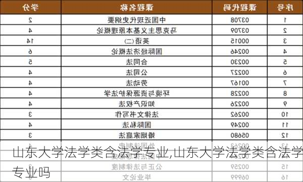 山东大学法学类含法学专业,山东大学法学类含法学专业吗