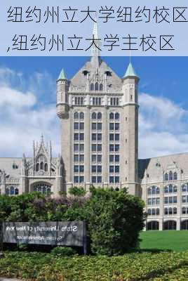 纽约州立大学纽约校区,纽约州立大学主校区