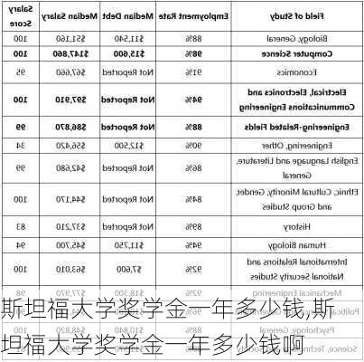 斯坦福大学奖学金一年多少钱,斯坦福大学奖学金一年多少钱啊