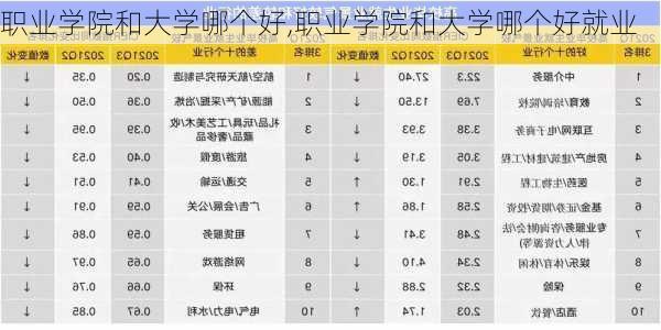 职业学院和大学哪个好,职业学院和大学哪个好就业