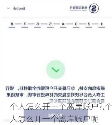 个人怎么开一个离岸账户?,个人怎么开一个离岸账户呢