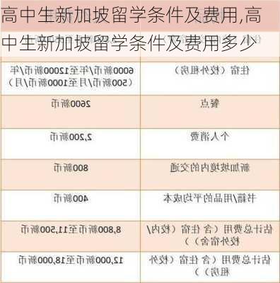 高中生新加坡留学条件及费用,高中生新加坡留学条件及费用多少