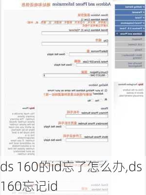 ds 160的id忘了怎么办,ds160忘记id