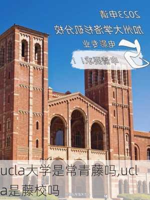 ucla大学是常青藤吗,ucla是藤校吗