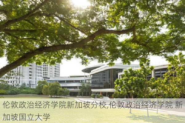 伦敦政治经济学院新加坡分校,伦敦政治经济学院 新加坡国立大学