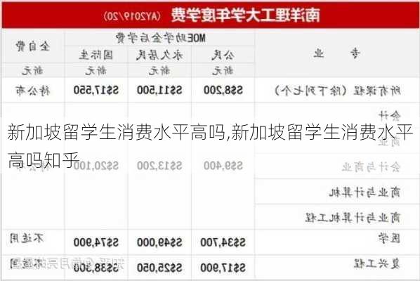 新加坡留学生消费水平高吗,新加坡留学生消费水平高吗知乎