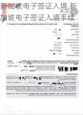 新加坡电子签证入境,新加坡电子签证入境手续