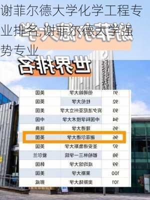 谢菲尔德大学化学工程专业排名,谢菲尔德大学强势专业