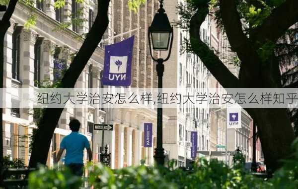 纽约大学治安怎么样,纽约大学治安怎么样知乎