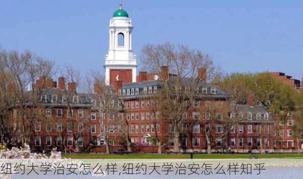 纽约大学治安怎么样,纽约大学治安怎么样知乎