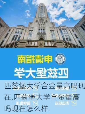 匹兹堡大学含金量高吗现在,匹兹堡大学含金量高吗现在怎么样