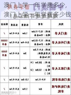 澳门上学一年学费多少,澳门上学一年学费多少钱