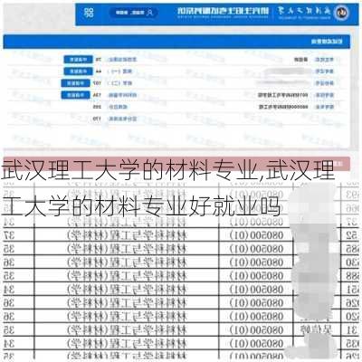 武汉理工大学的材料专业,武汉理工大学的材料专业好就业吗