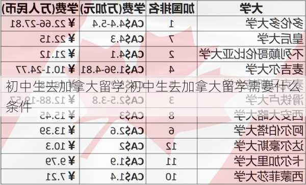 初中生去加拿大留学,初中生去加拿大留学需要什么条件