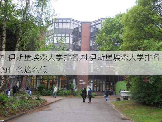 杜伊斯堡埃森大学排名,杜伊斯堡埃森大学排名为什么这么低