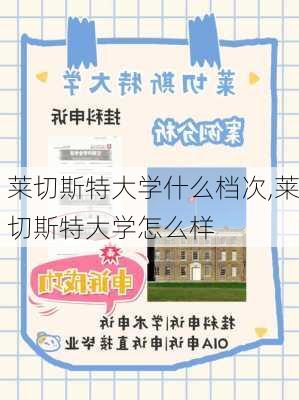 莱切斯特大学什么档次,莱切斯特大学怎么样