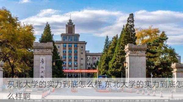 东北大学的实力到底怎么样,东北大学的实力到底怎么样啊