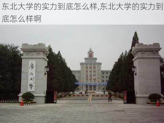 东北大学的实力到底怎么样,东北大学的实力到底怎么样啊