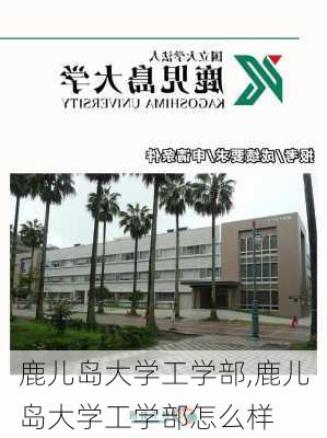 鹿儿岛大学工学部,鹿儿岛大学工学部怎么样