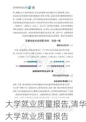 大学就业质量报告,清华大学就业质量报告