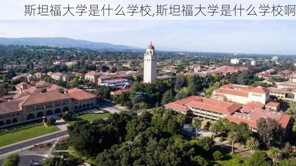 斯坦福大学是什么学校,斯坦福大学是什么学校啊