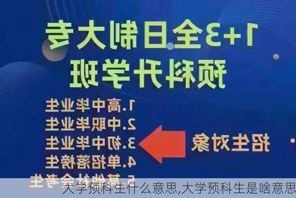 大学预科生什么意思,大学预科生是啥意思