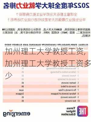 加州理工大学教授工资,加州理工大学教授工资多少