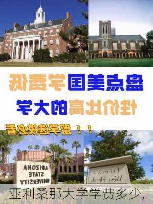 亚利桑那大学学费多少,