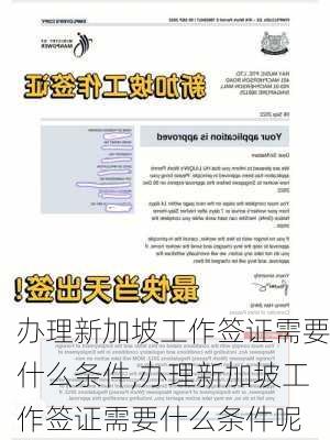 办理新加坡工作签证需要什么条件,办理新加坡工作签证需要什么条件呢