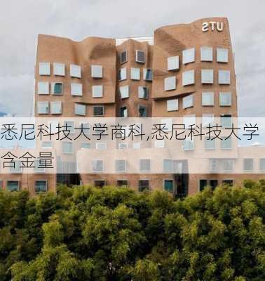 悉尼科技大学商科,悉尼科技大学含金量