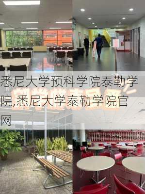 悉尼大学预科学院泰勒学院,悉尼大学泰勒学院官网