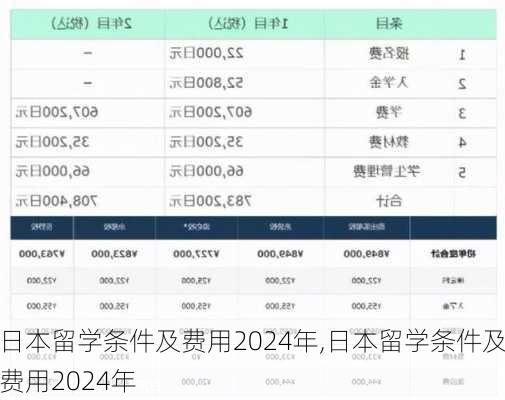 日本留学条件及费用2024年,日本留学条件及费用2024年