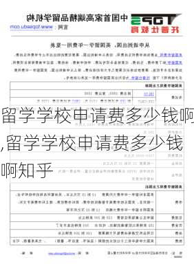 留学学校申请费多少钱啊,留学学校申请费多少钱啊知乎