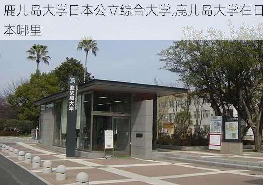 鹿儿岛大学日本公立综合大学,鹿儿岛大学在日本哪里