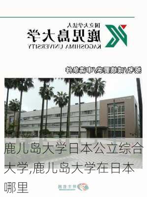 鹿儿岛大学日本公立综合大学,鹿儿岛大学在日本哪里