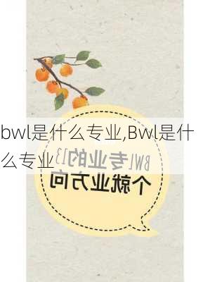 bwl是什么专业,Bwl是什么专业