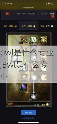 bwl是什么专业,Bwl是什么专业