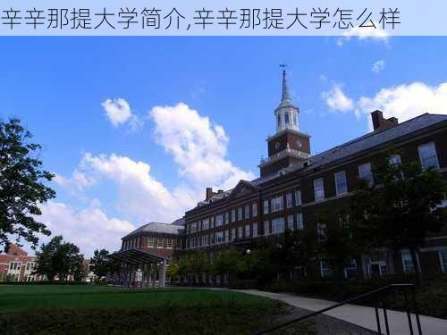 辛辛那提大学简介,辛辛那提大学怎么样