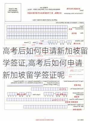 高考后如何申请新加坡留学签证,高考后如何申请新加坡留学签证呢