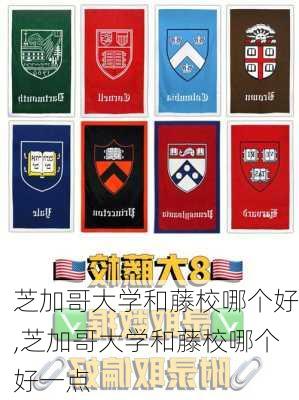 芝加哥大学和藤校哪个好,芝加哥大学和藤校哪个好一点