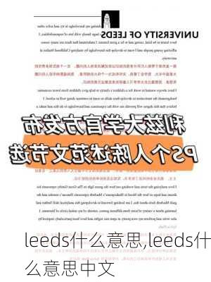 leeds什么意思,leeds什么意思中文