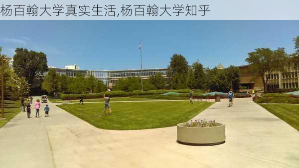 杨百翰大学真实生活,杨百翰大学知乎