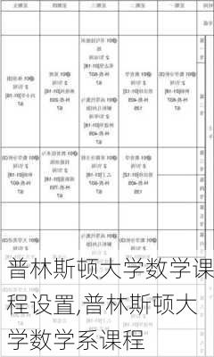 普林斯顿大学数学课程设置,普林斯顿大学数学系课程